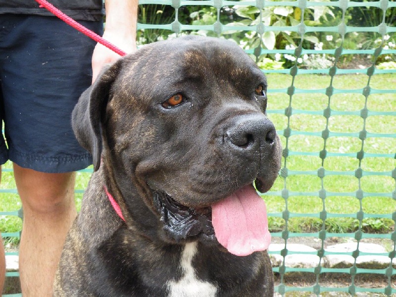 Jamko des secrets du Gevaudan